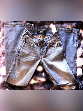 Hollister Vintage Low-Rise Flare Denim in Medium Blue